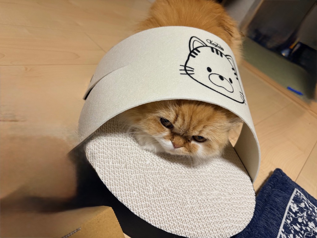 1件目のレビュー画像 | 0