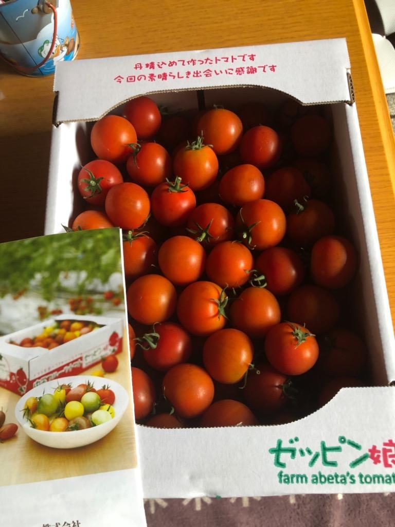 ゼッピン娘 華おとめ 1.8kg 中玉ミニトマト 産地直送 発送日限定 送料無料 :0860K00A:農家の台所Yahoo!店 - 通販 -  Yahoo!ショッピング