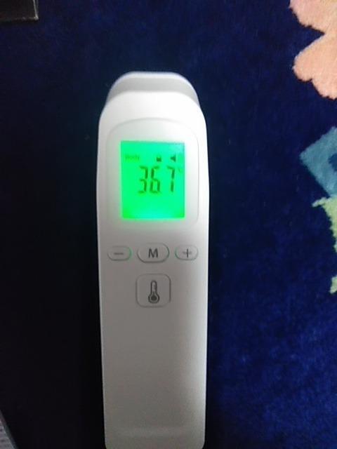 レビュー画像