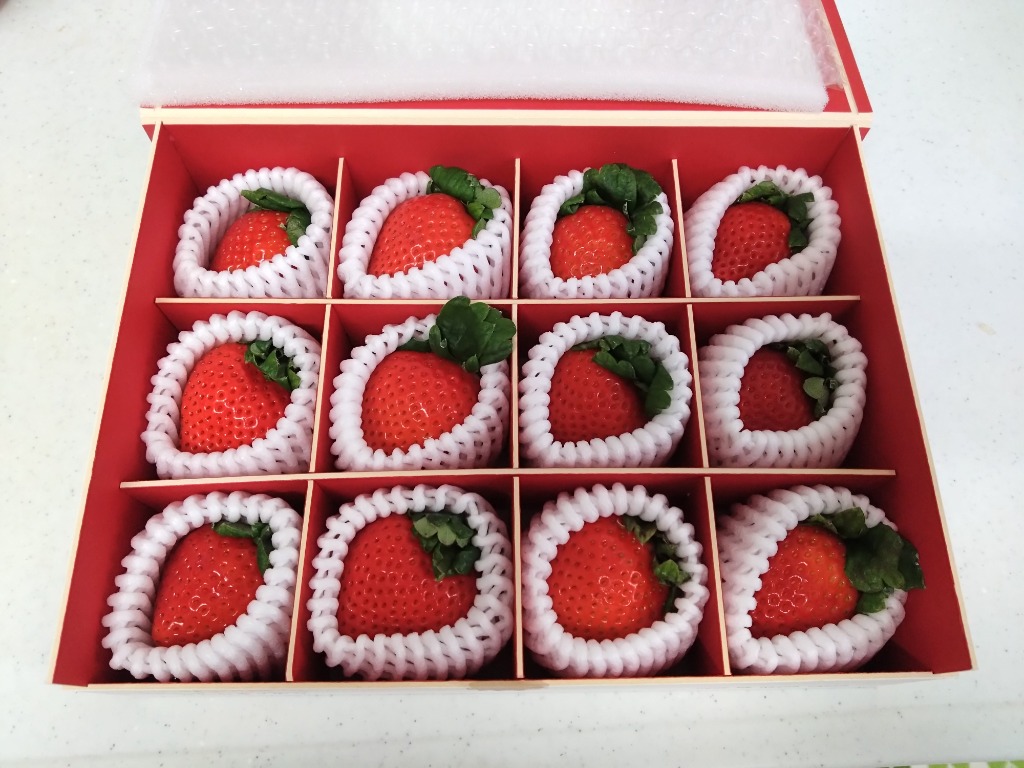 全体のレビュー画像 | 0-0