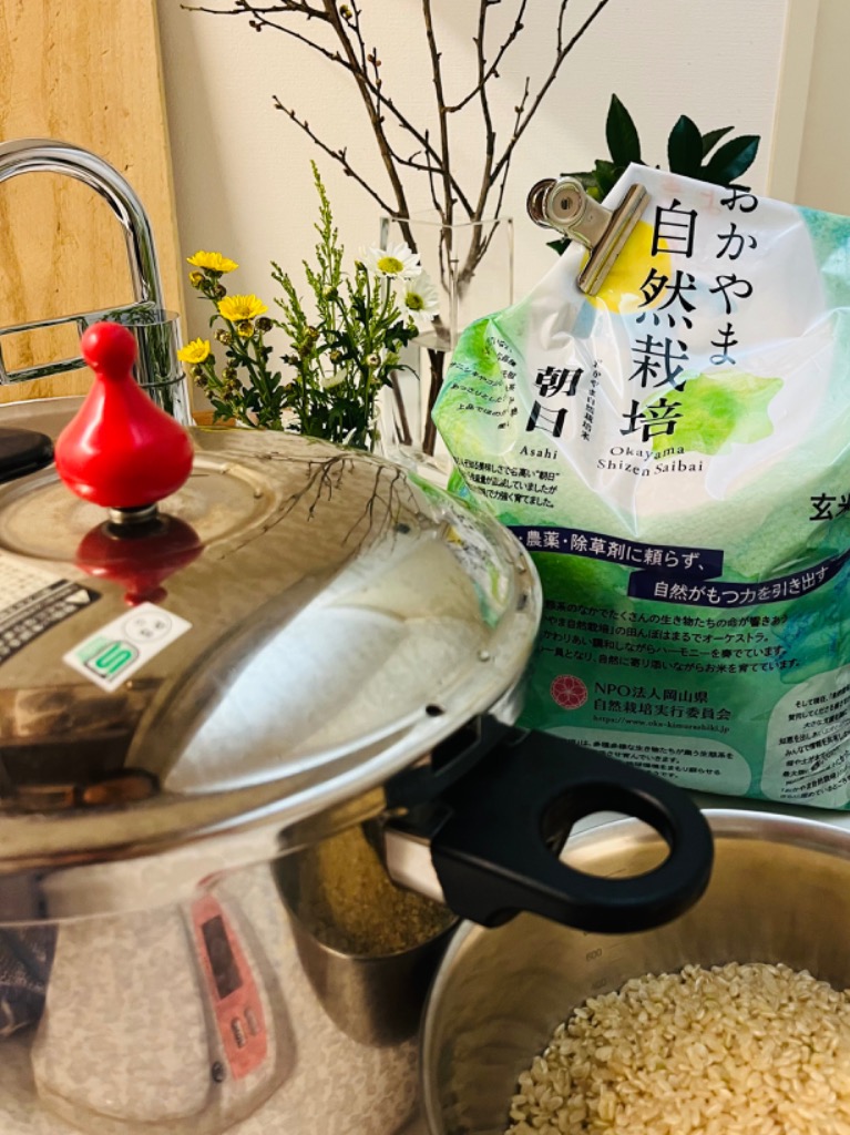 玄米 5kg 自然栽培 朝日米 令和6年産 送料無料 おかやま自然栽培
