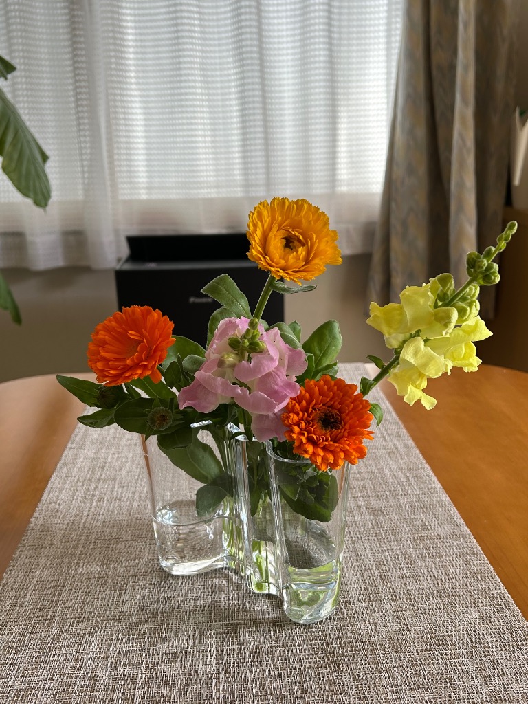 iittala（イッタラ） 『並行輸入品』イッタラ アルヴァ・アアルト