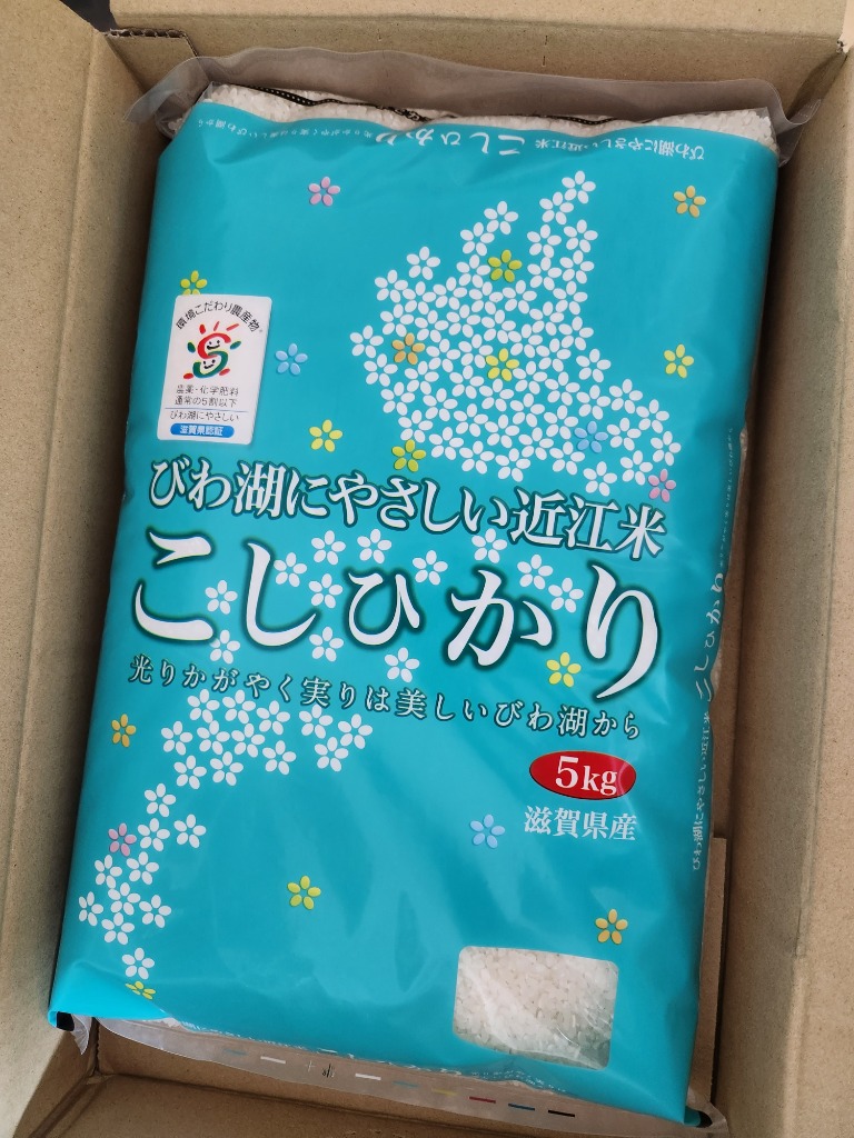 コシヒカリ 福袋米 白米 5kg 令和6年 滋賀県産 米 お米 送料無料