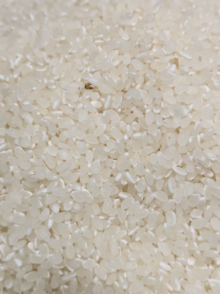 楽天市場】米 白米 玄米 無洗米 20kg 送料無料 コシヒカリ 宮崎