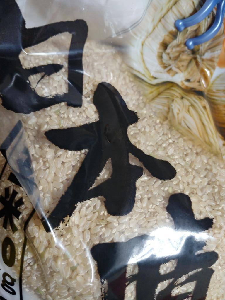 日本晴 白米 20kg 令和6年 滋賀県産 米 お米 送料無料 100 日本晴 白米 20kg 令和6年 滋賀県産 米 お米 送料無料 100