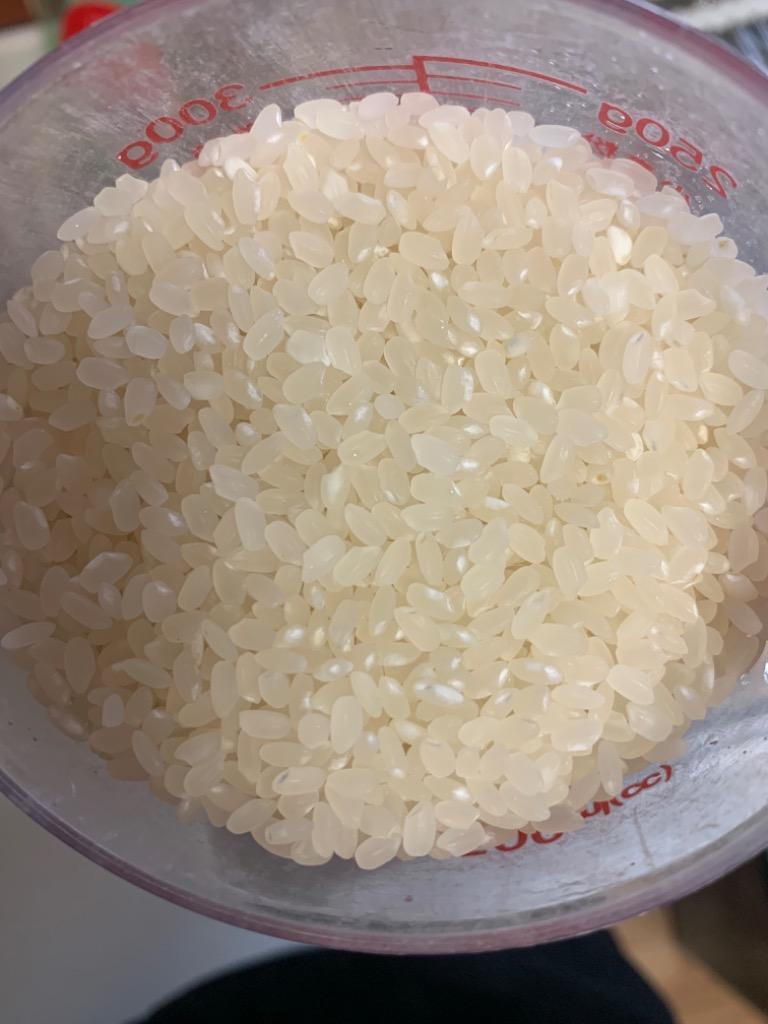 日本晴 白米 20kg 令和6年 滋賀県産 米 お米 送料無料 100 日本晴 白米 20kg 令和6年 滋賀県産 米 お米 送料無料 100