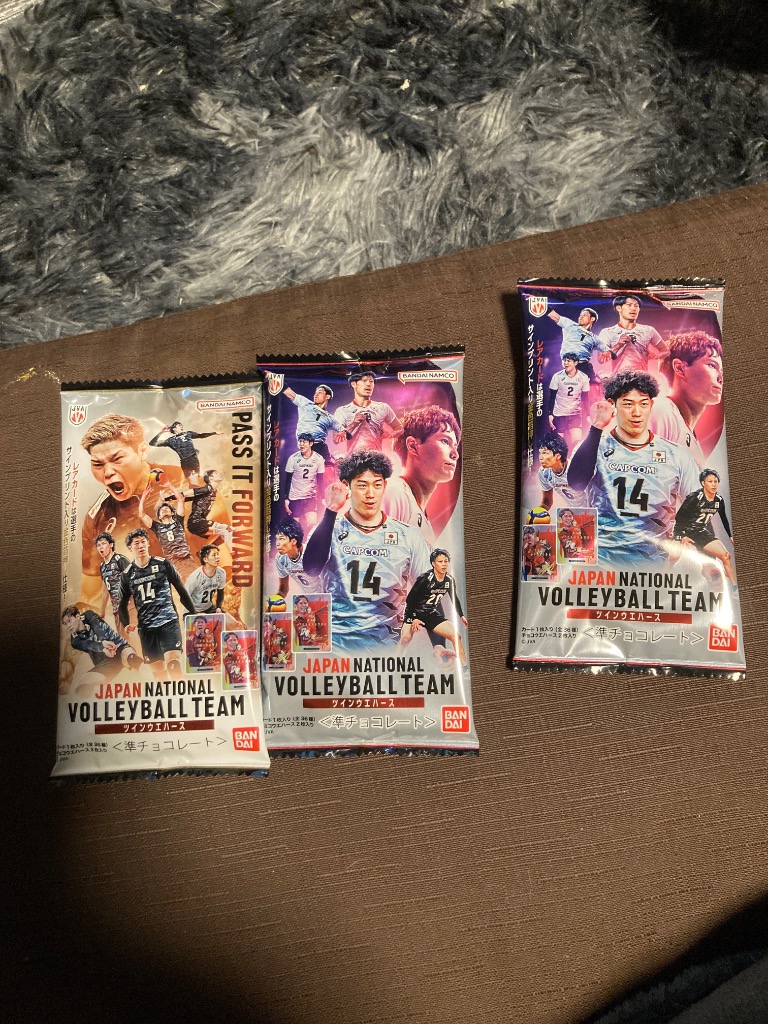 BANDAI バンダイ(BANDAI) JAPAN NATIONAL VOLLEYBALL TEAM