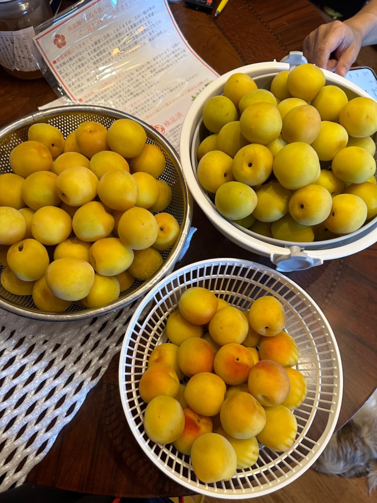 南高梅 完熟 本場紀州産 クール便 送料無料 【 3L サイズ 5kg