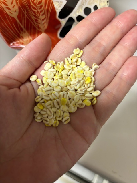 西田精麦 ※カネキヨ印 国産大麦100％ ビタバァレー お徳用 800g