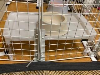 全体のレビュー画像 | 1-0