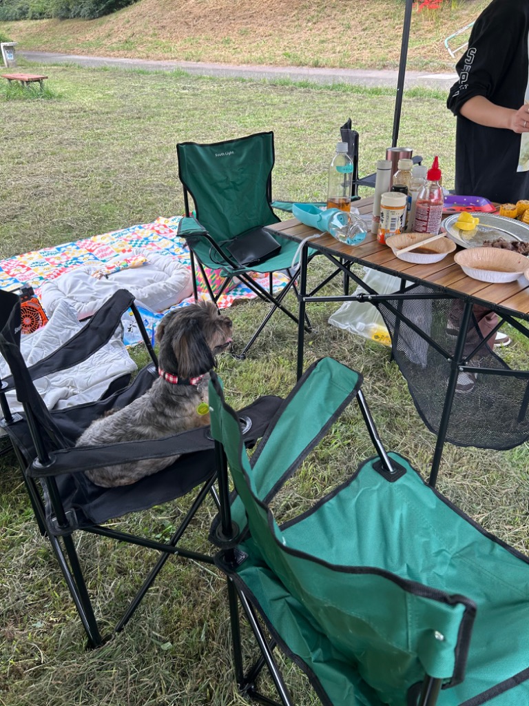 アウトドア チェア 爆買 2脚セット 軽量 椅子 折りたたみ 耐荷重100kg