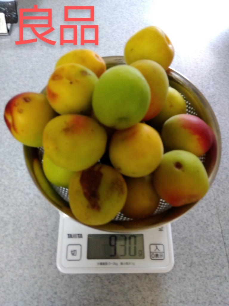 南高梅（完熟）訳あり ３Ｌサイズ　箱込み５ｋｇ　梅干し用　滝清園27-1 Amazon | 和歌山県産 南高梅(完熟梅）約5kg 大粒の3Lサイズ以上