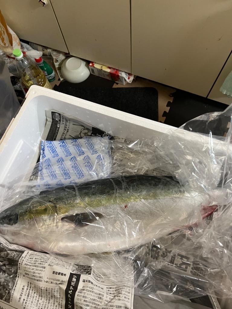 北海道産活〆天然生ぶり（鰤）7ｋｇ前後〔Ｂ〕☆北港直販☆鰤・ブリ〔代引き不可〕