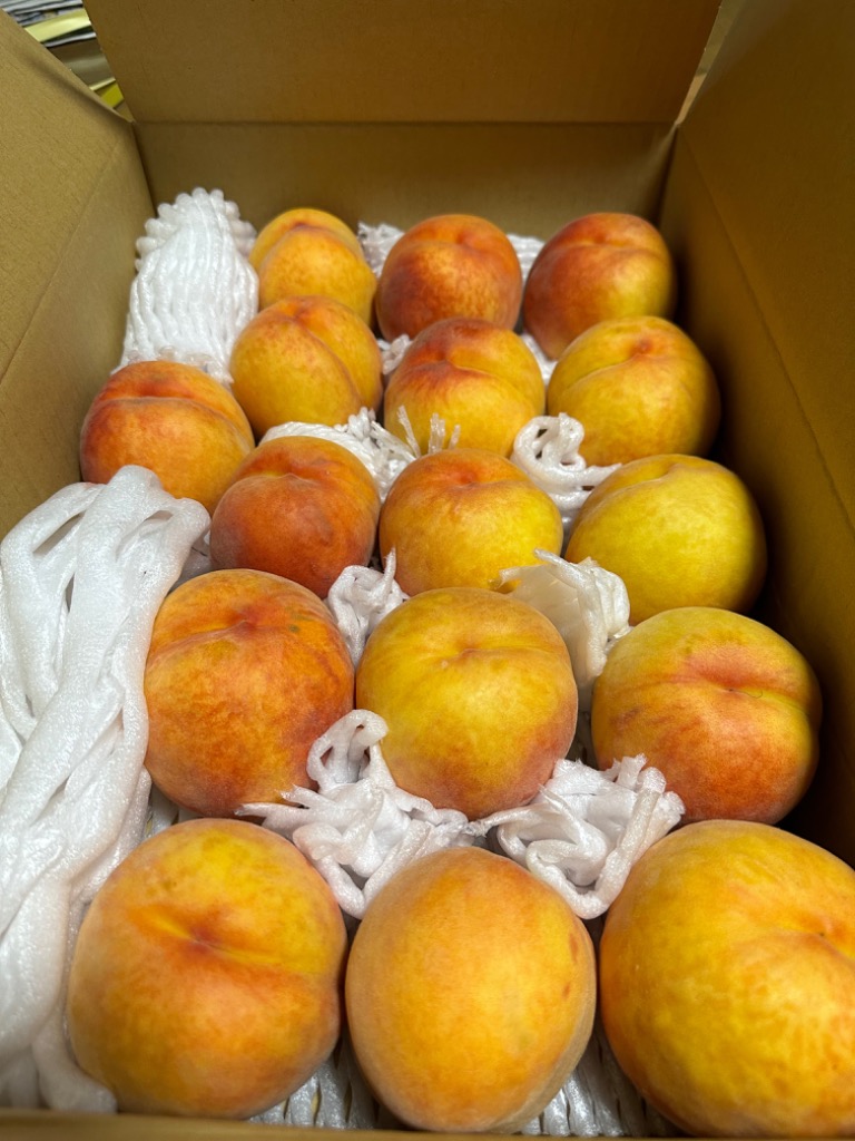 CocoRo♡farm 新品種!ワッサーのような桃（夕果）8㎏ CocoRo♡