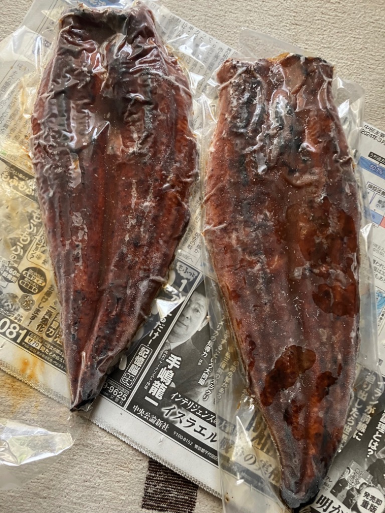 最安値に挑戦 特大うなぎ蒲焼き 600ｇ（約300ｇ×2）無頭背開き ウナギ 