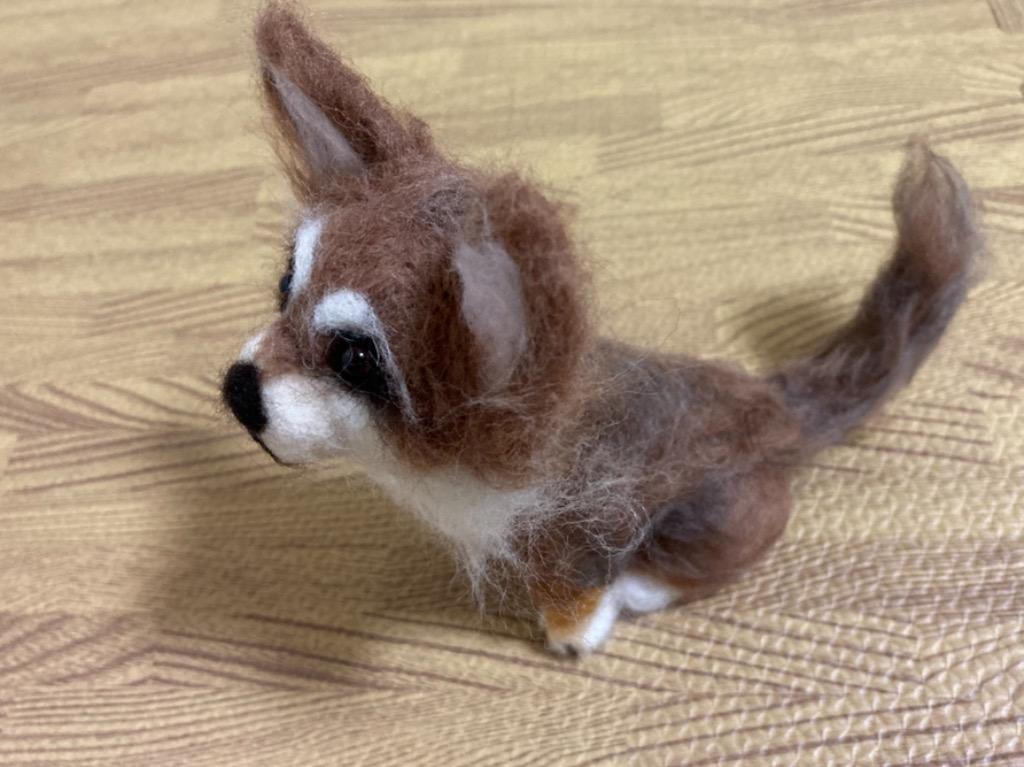 ハマナカ きりのみりい リアル羊毛フェルトキット チワワ :H441-547:けいとのコーダ - 通販 - Yahoo!ショッピング