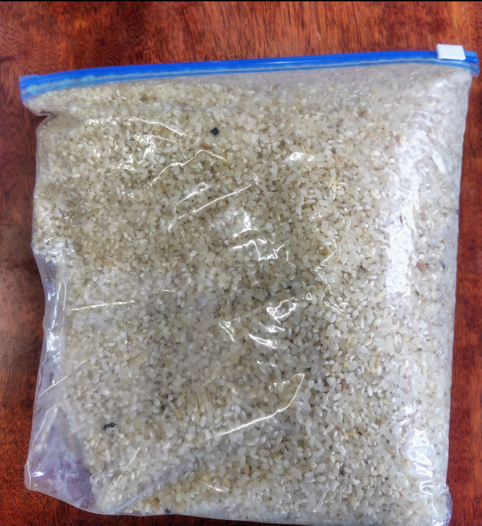 鳥の餌 エサ 10kg 着色米or砕米 : 米屋のこうむら - 通販