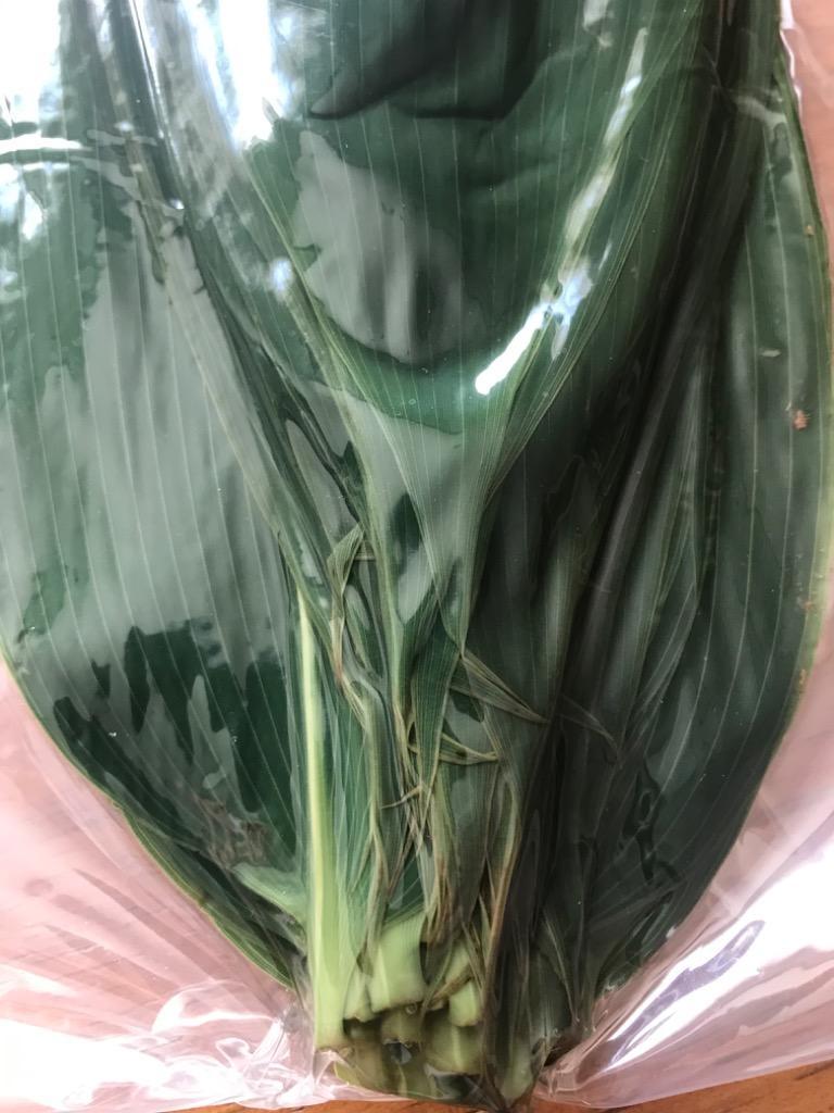 1件目のレビュー画像 | 5