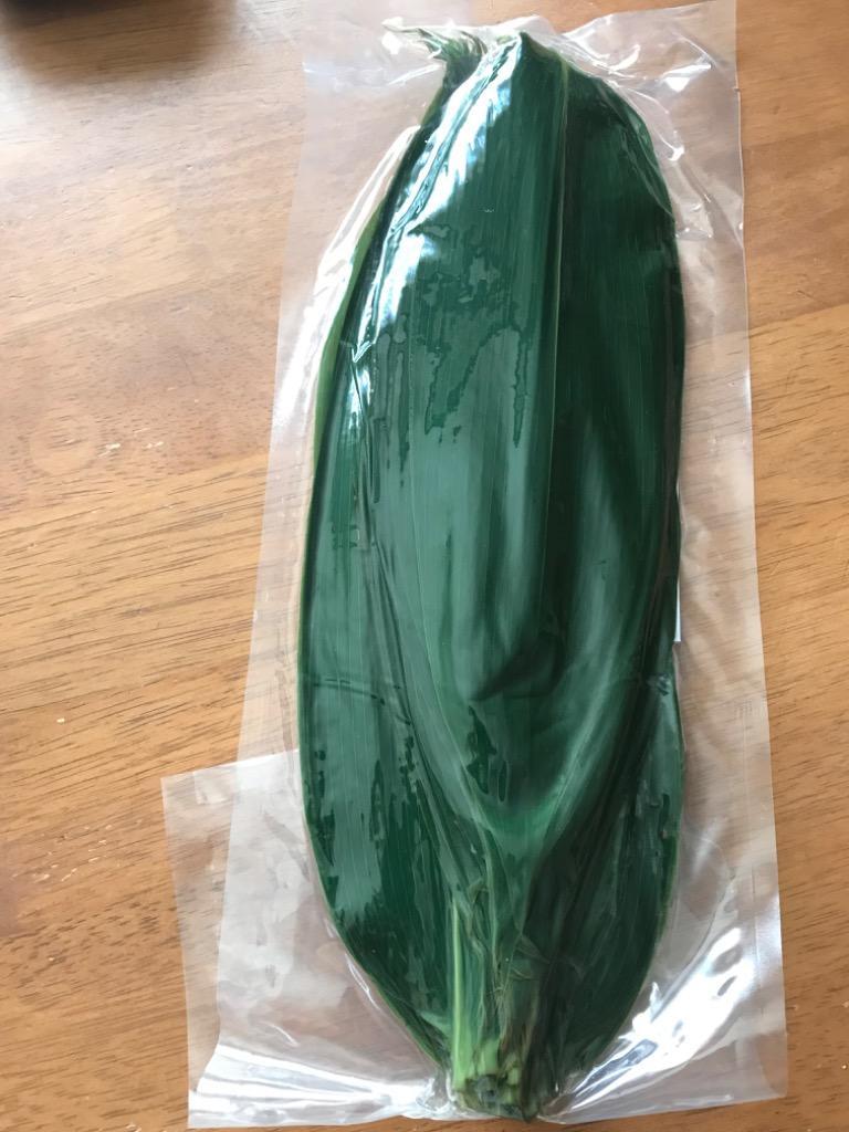 1件目のレビュー画像 | 3