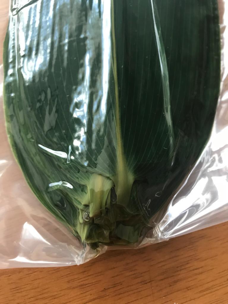 1件目のレビュー画像 | 1