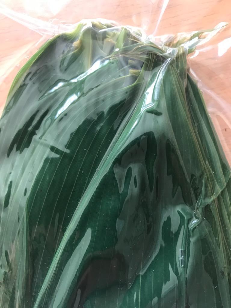 1件目のレビュー画像 | 2