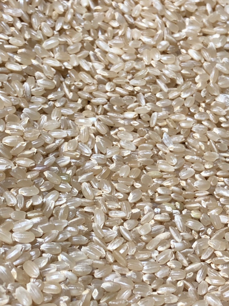晴れの国 岡山米 30kg imgrc0089342387.jpg