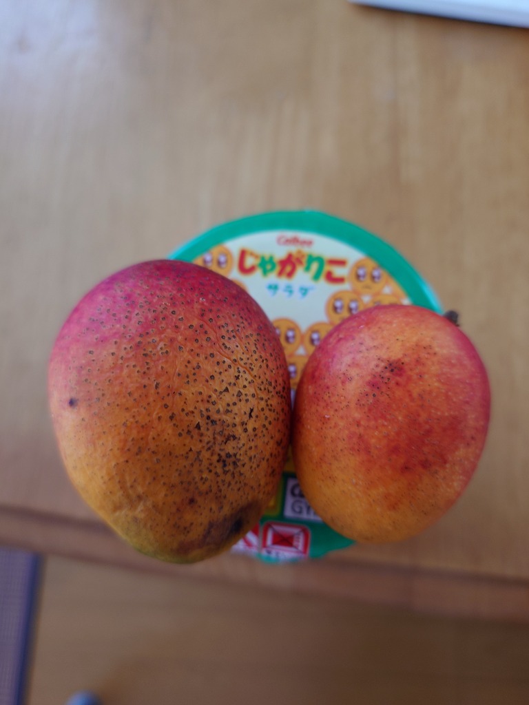 沖縄県産 ミニマンゴー詰め合わせ　約6.9キロ 沖縄県産ミニマンゴー1kg 8~20個入 送料無料 ご家庭用 ギフト