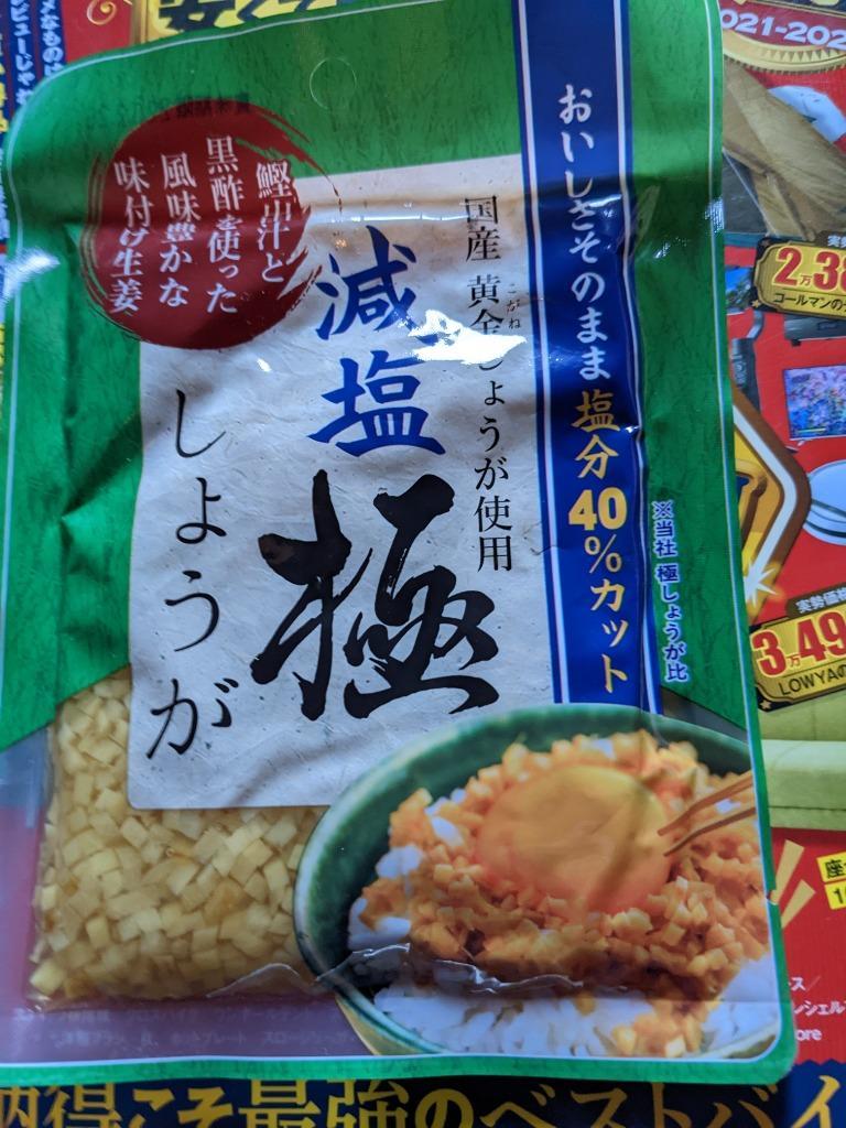 減塩 サクサク味付け極しょうが 110g×4 送料無料 :a00812404:国産生姜専門 黄金の里 - 通販 - Yahoo!ショッピング