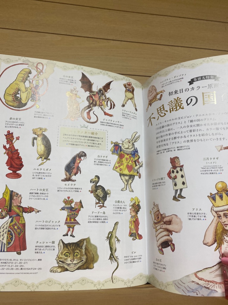 MOE 2023年〜2024年5冊セット（付録あり） MOE モエ 2024年 5月号 【付録】 ヒグチユウコ「不思議の国の