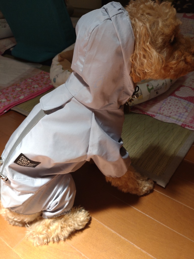 レビュー画像