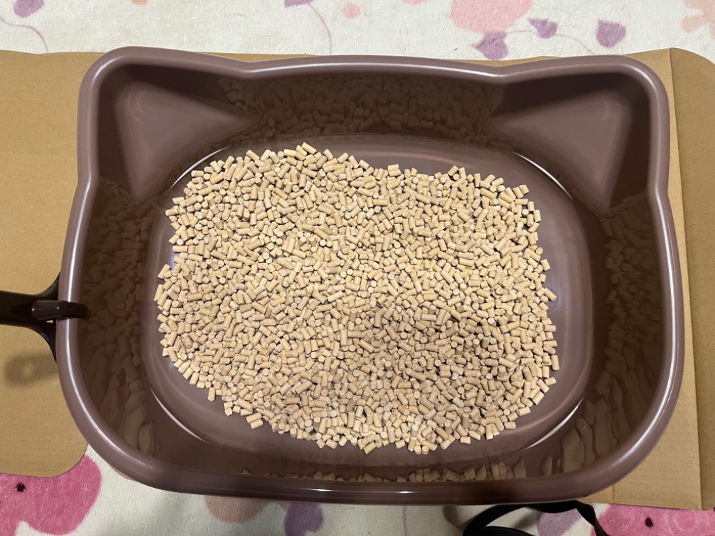 レビュー画像