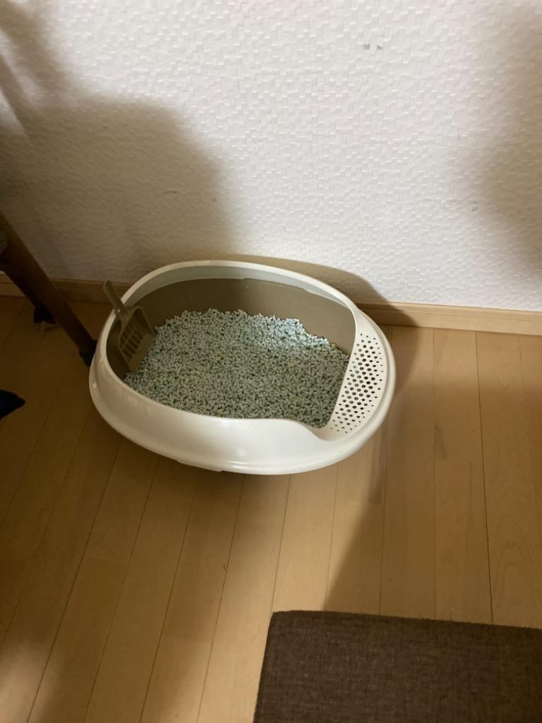 全体のレビュー画像 | 10-0