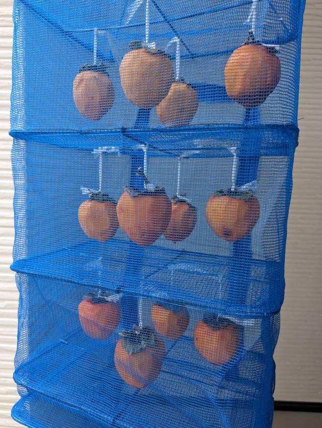 1件目のレビュー画像 | 0
