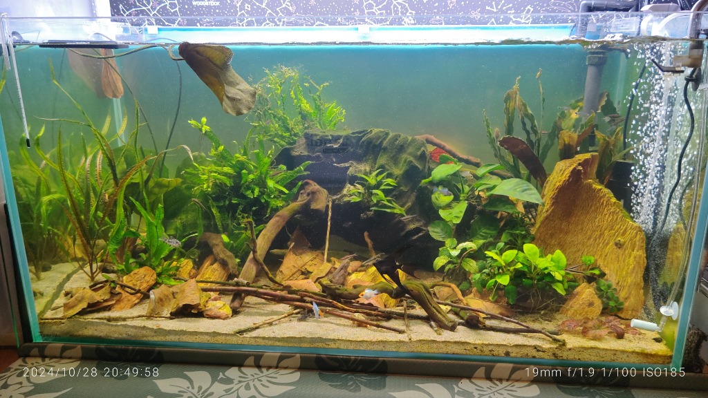 水槽　W90×D40×H40 厚み10mm 水槽 フタセット 90cm W90*D40*H40 厚み 8mm - メルカリ