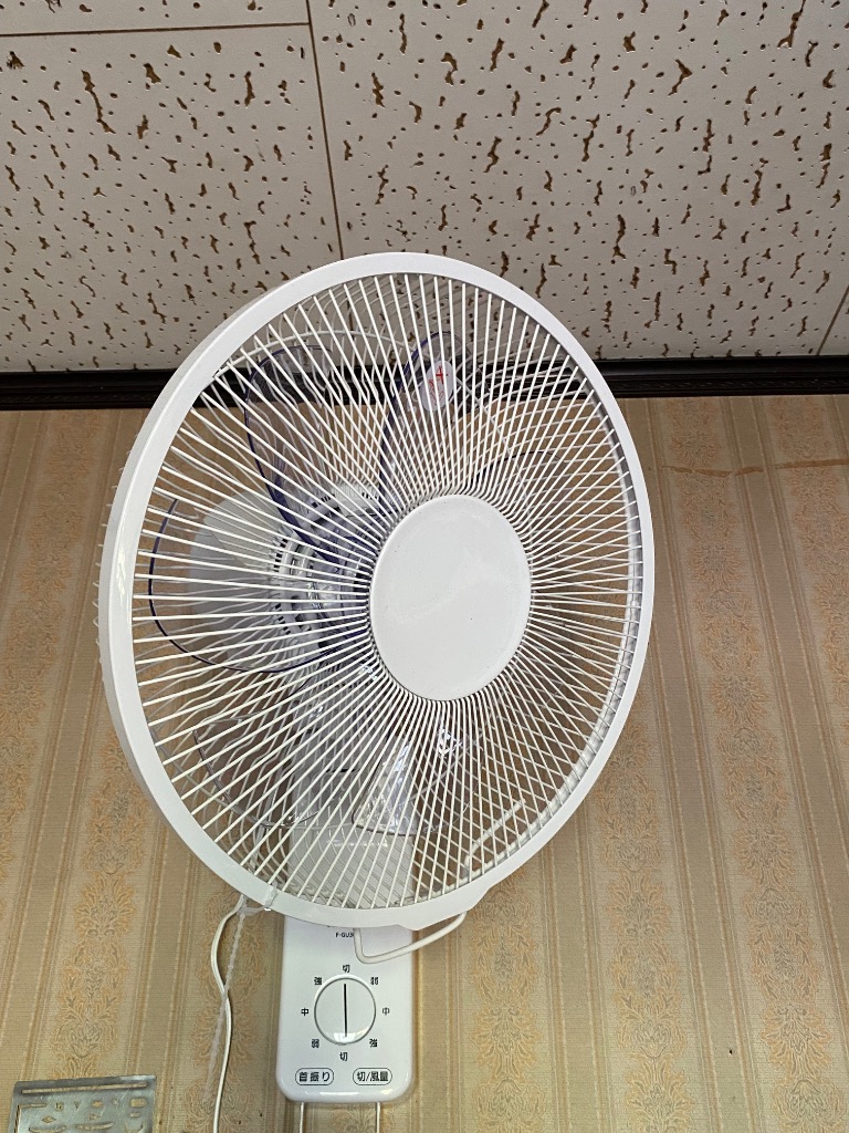 ◆新品◆Panasonic／壁掛扇／引きひもタイプ／ブルー／F-GU301-A Panasonic パナソニック 壁掛扇 壁掛け扇風機 引きひもタイプ