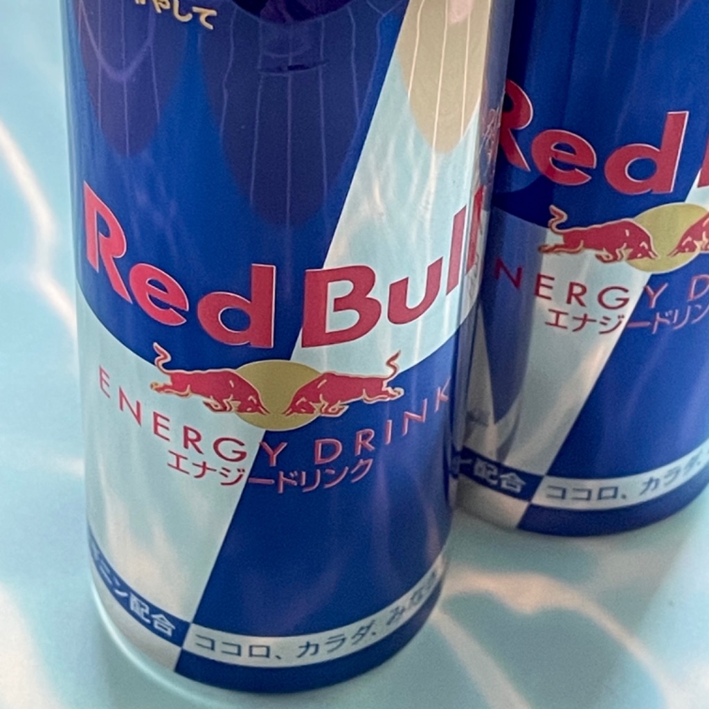 レッドブル RedBull 250ml 1ケース 24本 【送料無料 北海道