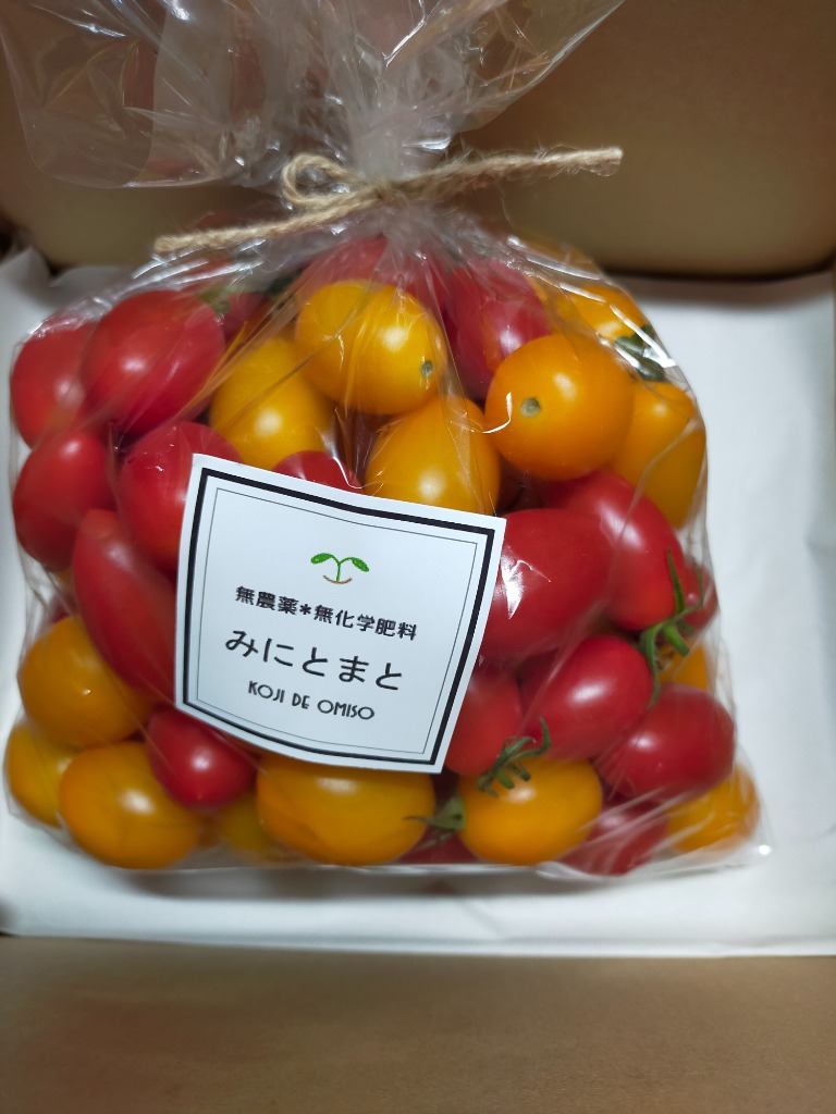 和歌山産ミニトマト　アイコ　1キロ 今日のお買い得♪無農薬 和歌山産 ミニトマト・アイコ