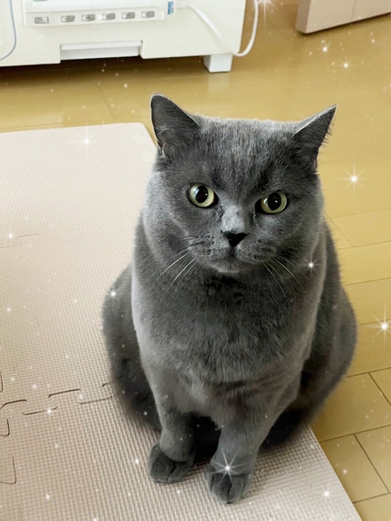 1件目のレビュー画像 | 0