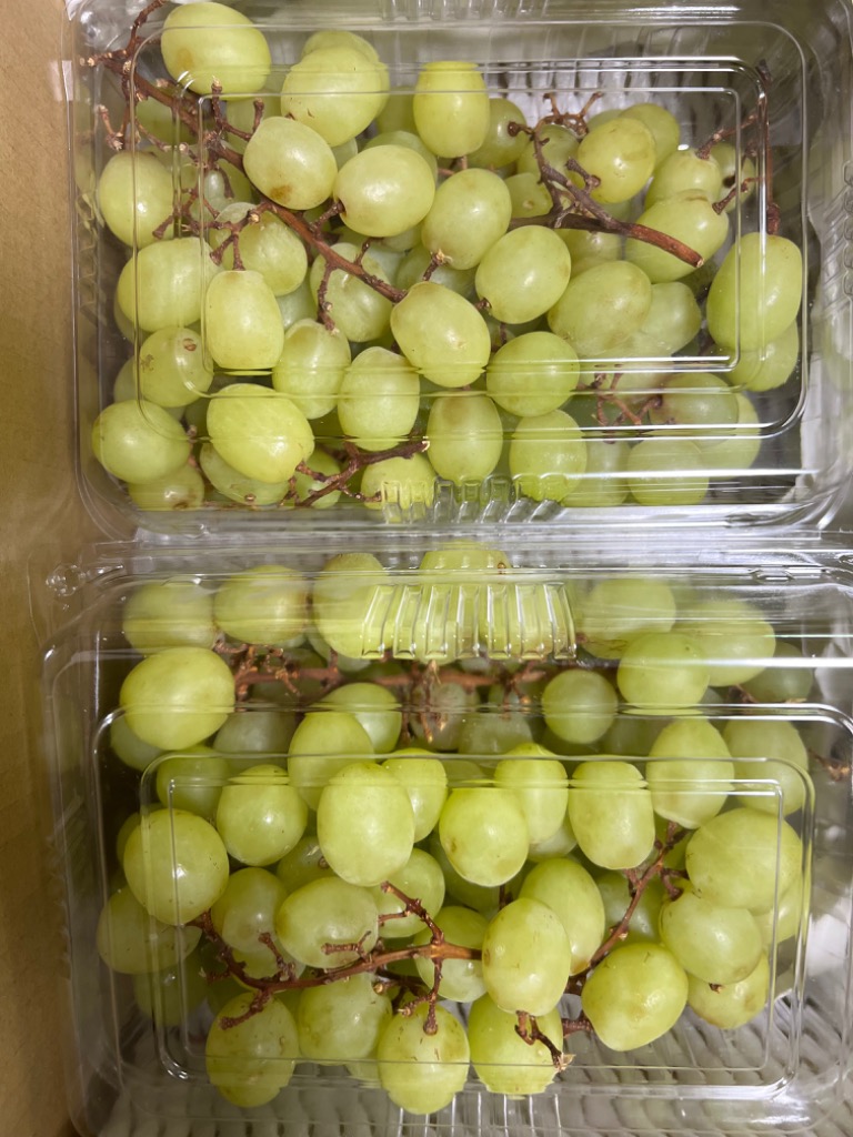 ぶどう 約2kg 大特価 緑ぶどう 種なし皮ごとOK ご家庭用