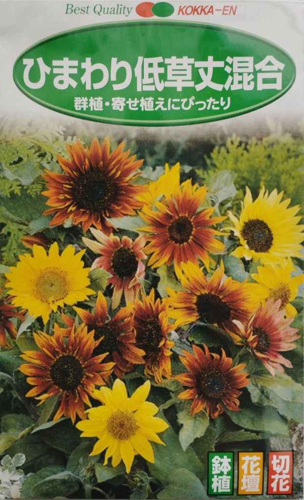 種 花たね ひまわり 低草丈混合 1袋(500mg) : 2012-p7-017 : 花と緑 国 