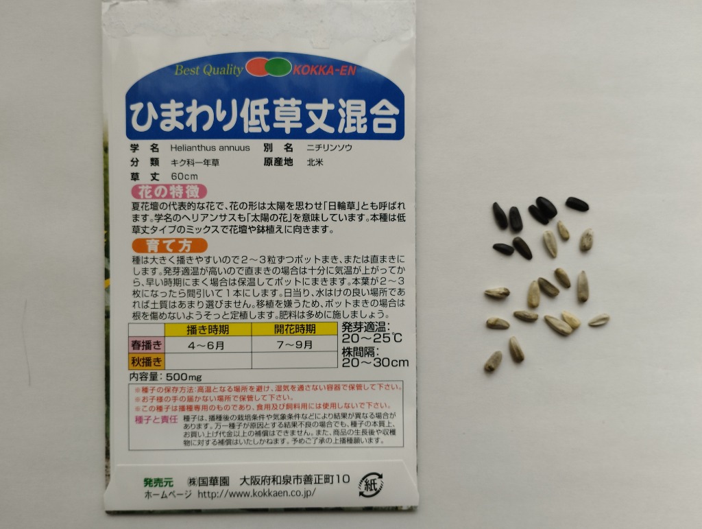 種 花たね ひまわり 低草丈混合 1袋（500mg) / 花種 向日葵 花の