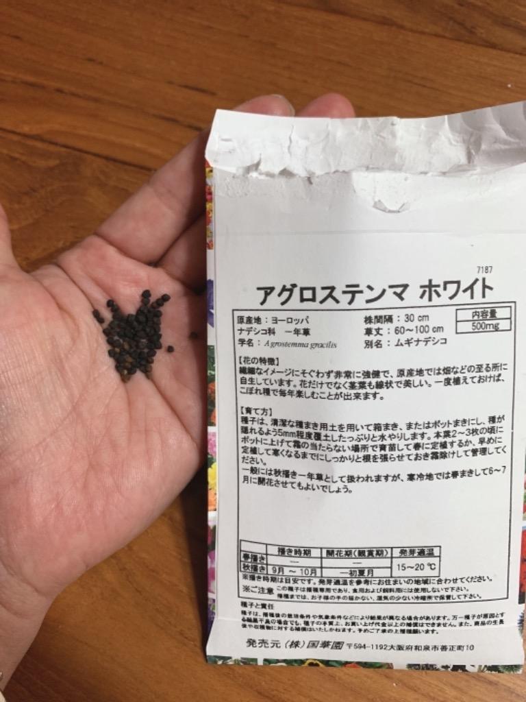 アグロステンマ 種 ホワイト 1袋(500mg) / アグロステンマの種 アグロステンマの花 花たね 花の種 種子 タネ 国華園  :2013n-p7-0022:花と緑 国華園 - 通販 - Yahoo!ショッピング