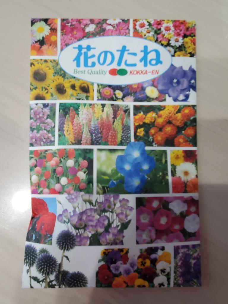 トルコキキョウ 種 桃白 1袋(20粒) / トルコキキョウの種 トルコキキョウの花 花たね 花の種 花 種子 タネ ユーストマ トルコギキョウ 国華園  :2021n-p7-0003:花と緑 国華園 - 通販 - Yahoo!ショッピング