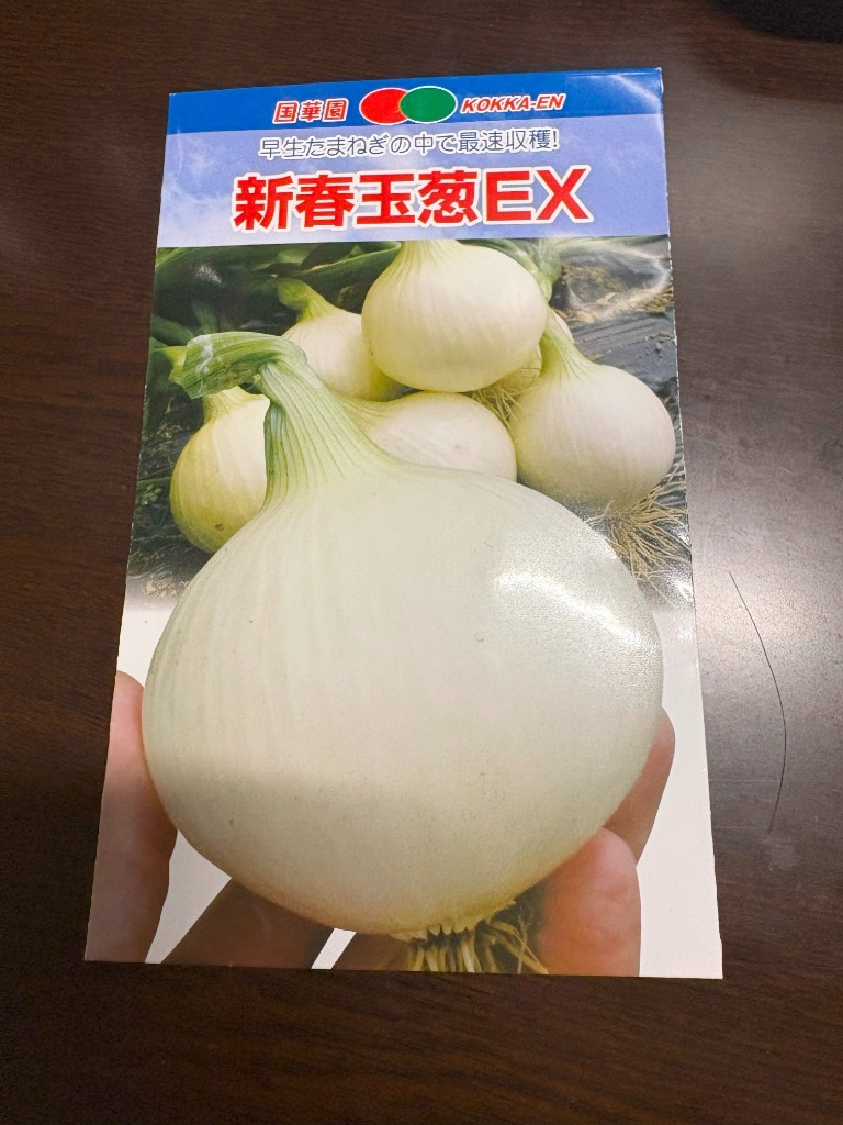 種 野菜たね タマネギ （超極早生）新春玉葱EX 1袋（3ml） 玉葱