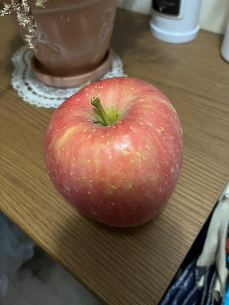 りんご 10kg 山形産 みちのくふじ りんご（24〜54玉）リンゴ サンふじ 
