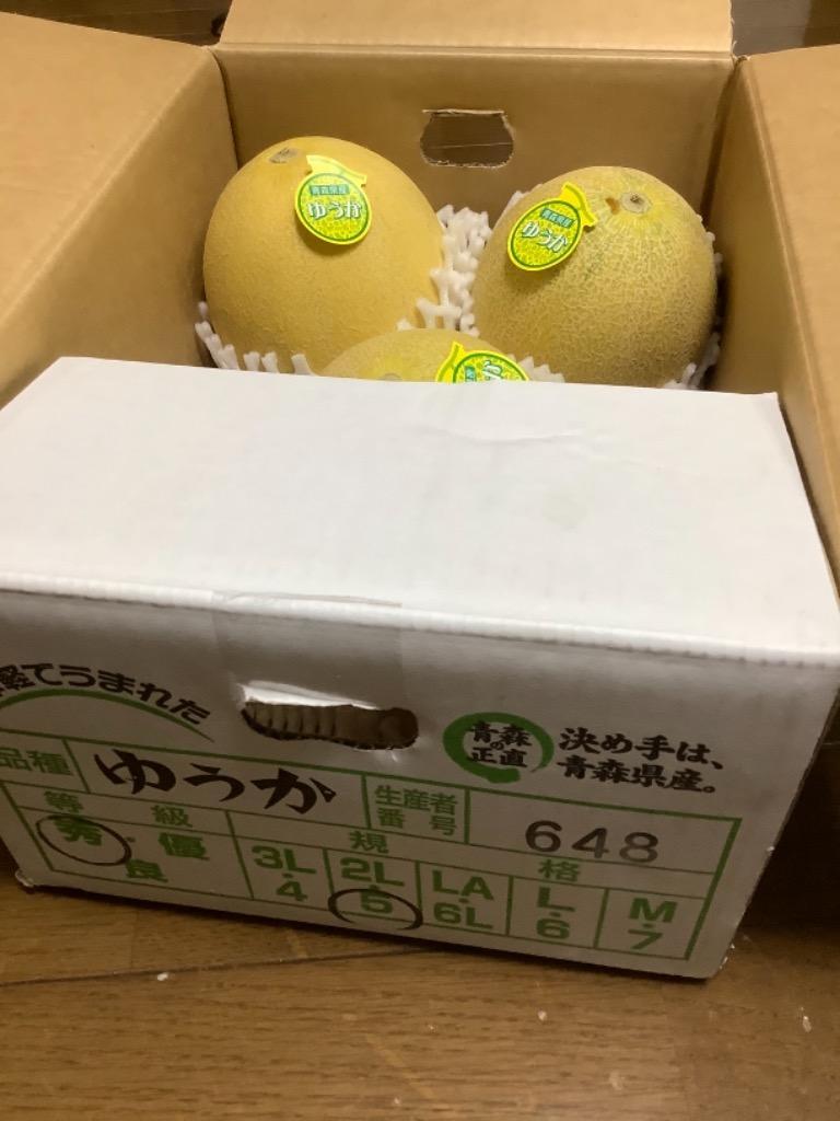 メロン ゆうかメロン 約5kg 青森産 冷蔵便 送料無料 食品 : 花と