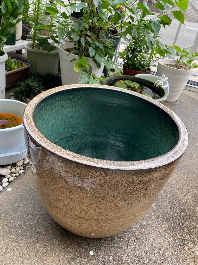 睡蓮鉢 すいれん鉢 砂色(すないろ) 1個 直径47・高さ41cm メダカ