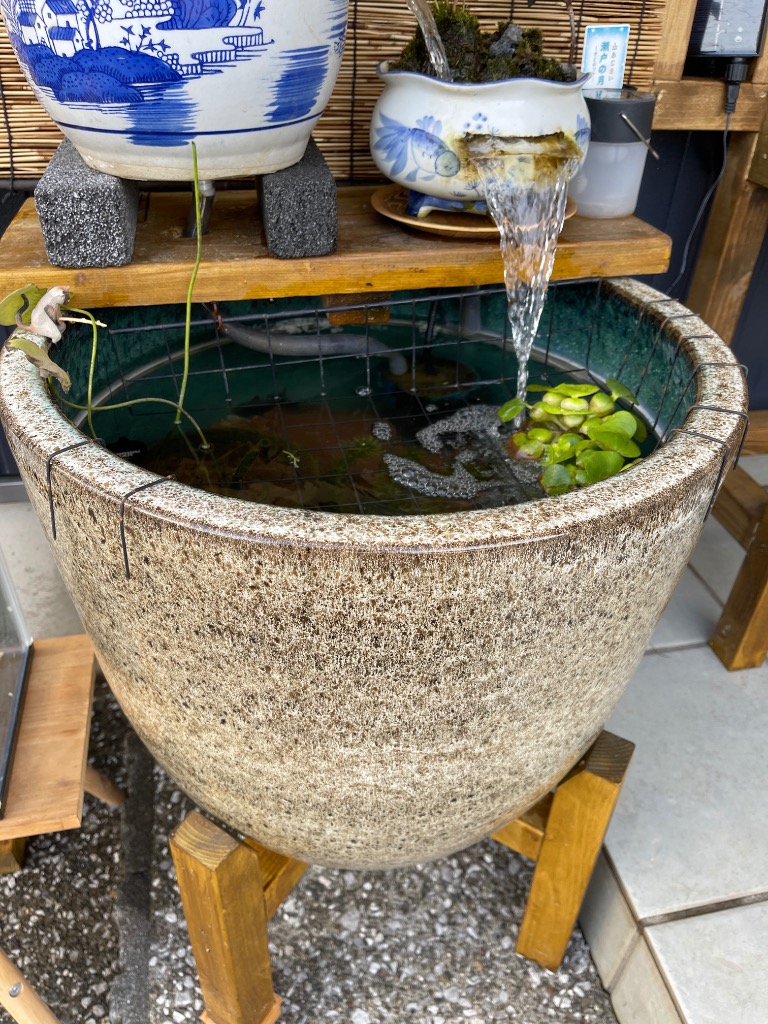 でおすすめアイテム。 睡蓮鉢 メダカ 直径47・高さ41cm 1個 砂色(すないろ) すいれん鉢 絵画