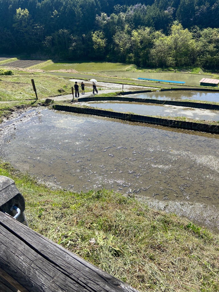 レビュー画像