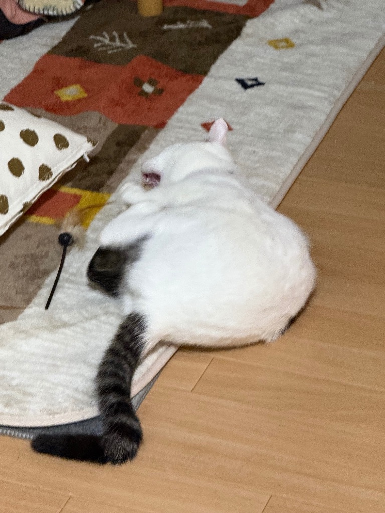 レビュー画像